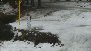 Chata Myslivna SKP Olomouc - Běžecký lyžařský areál Nová Ves - horní část - 13.2.2026 v 12:00 Chata Myslivna SKP Olomouc - Běžecký lyžařský areál Nová Ves - horní část - 13.2.2026 v 12:00