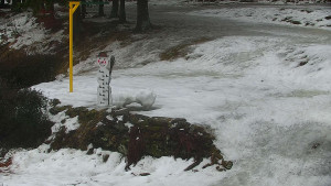 Chata Myslivna SKP Olomouc - Běžecký lyžařský areál Nová Ves - horní část - 13.2.2026 v 16:00 Chata Myslivna SKP Olomouc - Běžecký lyžařský areál Nová Ves - horní část - 13.2.2026 v 16:00