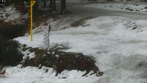 Chata Myslivna SKP Olomouc - Běžecký lyžařský areál Nová Ves - horní část - 13.2.2026 v 16:30 Chata Myslivna SKP Olomouc - Běžecký lyžařský areál Nová Ves - horní část - 13.2.2026 v 16:30