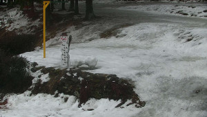Chata Myslivna SKP Olomouc - Běžecký lyžařský areál Nová Ves - horní část - 13.2.2026 v 17:00 Chata Myslivna SKP Olomouc - Běžecký lyžařský areál Nová Ves - horní část - 13.2.2026 v 17:00