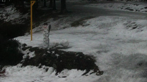 Chata Myslivna SKP Olomouc - Běžecký lyžařský areál Nová Ves - horní část - 13.2.2026 v 17:30 Chata Myslivna SKP Olomouc - Běžecký lyžařský areál Nová Ves - horní část - 13.2.2026 v 17:30