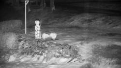 Běžecký lyžařský areál Nová Ves - horní část