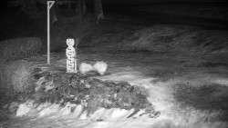 Běžecký lyžařský areál Nová Ves - horní část