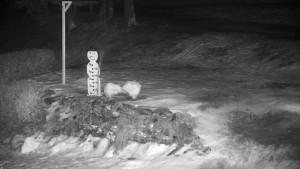 Chata Myslivna SKP Olomouc - Běžecký lyžařský areál Nová Ves - horní část - 13.2.2026 v 21:30 Chata Myslivna SKP Olomouc - Běžecký lyžařský areál Nová Ves - horní část - 13.2.2026 v 21:30