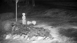 Chata Myslivna SKP Olomouc - Běžecký lyžařský areál Nová Ves - horní část - 13.2.2026 v 22:00 Chata Myslivna SKP Olomouc - Běžecký lyžařský areál Nová Ves - horní část - 13.2.2026 v 22:00