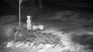 Chata Myslivna SKP Olomouc - Běžecký lyžařský areál Nová Ves - horní část - 13.2.2026 v 23:00 Chata Myslivna SKP Olomouc - Běžecký lyžařský areál Nová Ves - horní část - 13.2.2026 v 23:00