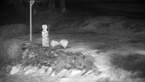 Chata Myslivna SKP Olomouc - Běžecký lyžařský areál Nová Ves - horní část - 13.2.2026 v 23:30 Chata Myslivna SKP Olomouc - Běžecký lyžařský areál Nová Ves - horní část - 13.2.2026 v 23:30