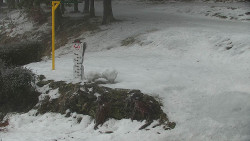 Běžecký lyžařský areál Nová Ves - horní část