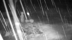 Běžecký lyžařský areál Nová Ves - horní část