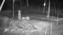 Běžecký lyžařský areál Nová Ves - horní část