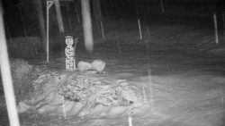 Běžecký lyžařský areál Nová Ves - horní část