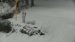 Běžecký lyžařský areál Nová Ves - horní část