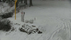 Běžecký lyžařský areál Nová Ves - horní část