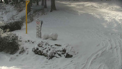 Běžecký lyžařský areál Nová Ves - horní část