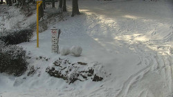 Běžecký lyžařský areál Nová Ves - horní část