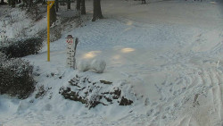 Běžecký lyžařský areál Nová Ves - horní část