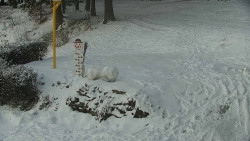 Běžecký lyžařský areál Nová Ves - horní část