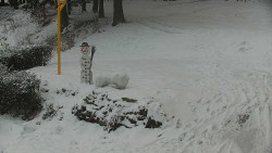 Běžecký lyžařský areál Nová Ves - horní část