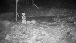 Běžecký lyžařský areál Nová Ves - horní část