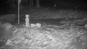 Chata Myslivna SKP Olomouc - Běžecký lyžařský areál Nová Ves - horní část - 16.2.2026 v 00:00 Chata Myslivna SKP Olomouc - Běžecký lyžařský areál Nová Ves - horní část - 16.2.2026 v 00:00