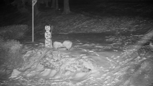 Chata Myslivna SKP Olomouc - Běžecký lyžařský areál Nová Ves - horní část - 16.2.2026 v 00:30 Chata Myslivna SKP Olomouc - Běžecký lyžařský areál Nová Ves - horní část - 16.2.2026 v 00:30