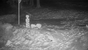 Chata Myslivna SKP Olomouc - Běžecký lyžařský areál Nová Ves - horní část - 16.2.2026 v 02:00 Chata Myslivna SKP Olomouc - Běžecký lyžařský areál Nová Ves - horní část - 16.2.2026 v 02:00