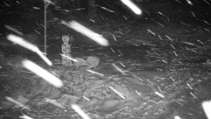 Chata Myslivna SKP Olomouc - Běžecký lyžařský areál Nová Ves - horní část - 16.2.2026 v 02:30 Chata Myslivna SKP Olomouc - Běžecký lyžařský areál Nová Ves - horní část - 16.2.2026 v 02:30