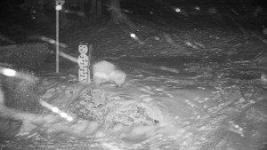 Chata Myslivna SKP Olomouc - Běžecký lyžařský areál Nová Ves - horní část - 16.2.2026 v 03:00 Chata Myslivna SKP Olomouc - Běžecký lyžařský areál Nová Ves - horní část - 16.2.2026 v 03:00