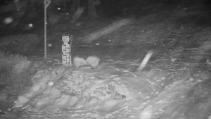 Chata Myslivna SKP Olomouc - Běžecký lyžařský areál Nová Ves - horní část - 16.2.2026 v 03:30 Chata Myslivna SKP Olomouc - Běžecký lyžařský areál Nová Ves - horní část - 16.2.2026 v 03:30