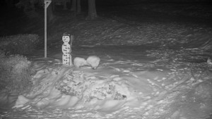 Chata Myslivna SKP Olomouc - Běžecký lyžařský areál Nová Ves - horní část - 16.2.2026 v 04:00 Chata Myslivna SKP Olomouc - Běžecký lyžařský areál Nová Ves - horní část - 16.2.2026 v 04:00