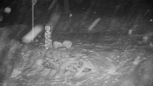 Chata Myslivna SKP Olomouc - Běžecký lyžařský areál Nová Ves - horní část - 16.2.2026 v 04:30 Chata Myslivna SKP Olomouc - Běžecký lyžařský areál Nová Ves - horní část - 16.2.2026 v 04:30