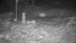 Běžecký lyžařský areál Nová Ves - horní část