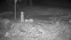 Běžecký lyžařský areál Nová Ves - horní část