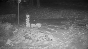 Chata Myslivna SKP Olomouc - Běžecký lyžařský areál Nová Ves - horní část - 16.2.2026 v 06:00 Chata Myslivna SKP Olomouc - Běžecký lyžařský areál Nová Ves - horní část - 16.2.2026 v 06:00