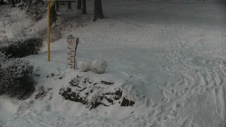 Běžecký lyžařský areál Nová Ves - horní část