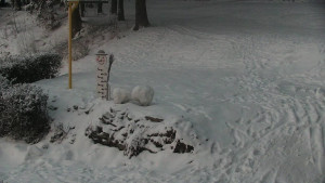 Chata Myslivna SKP Olomouc - Běžecký lyžařský areál Nová Ves - horní část - 16.2.2026 v 06:30 Chata Myslivna SKP Olomouc - Běžecký lyžařský areál Nová Ves - horní část - 16.2.2026 v 06:30