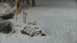 Běžecký lyžařský areál Nová Ves - horní část