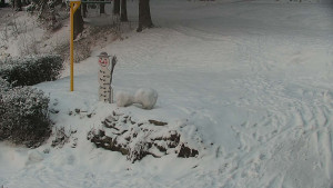 Chata Myslivna SKP Olomouc - Běžecký lyžařský areál Nová Ves - horní část - 16.2.2026 v 07:00 Chata Myslivna SKP Olomouc - Běžecký lyžařský areál Nová Ves - horní část - 16.2.2026 v 07:00