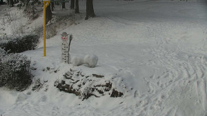 Chata Myslivna SKP Olomouc - Běžecký lyžařský areál Nová Ves - horní část - 16.2.2026 v 08:00 Chata Myslivna SKP Olomouc - Běžecký lyžařský areál Nová Ves - horní část - 16.2.2026 v 08:00