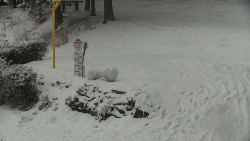 Běžecký lyžařský areál Nová Ves - horní část