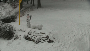 Chata Myslivna SKP Olomouc - Běžecký lyžařský areál Nová Ves - horní část - 16.2.2026 v 08:30 Chata Myslivna SKP Olomouc - Běžecký lyžařský areál Nová Ves - horní část - 16.2.2026 v 08:30