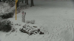 Chata Myslivna SKP Olomouc - Běžecký lyžařský areál Nová Ves - horní část - 16.2.2026 v 09:00 Chata Myslivna SKP Olomouc - Běžecký lyžařský areál Nová Ves - horní část - 16.2.2026 v 09:00