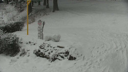 Běžecký lyžařský areál Nová Ves - horní část