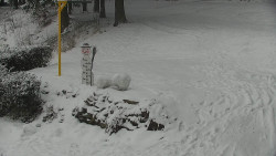 Běžecký lyžařský areál Nová Ves - horní část