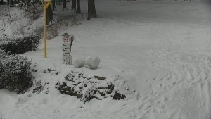 Chata Myslivna SKP Olomouc - Běžecký lyžařský areál Nová Ves - horní část - 16.2.2026 v 10:00 Chata Myslivna SKP Olomouc - Běžecký lyžařský areál Nová Ves - horní část - 16.2.2026 v 10:00