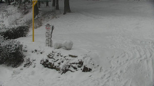 Chata Myslivna SKP Olomouc - Běžecký lyžařský areál Nová Ves - horní část - 16.2.2026 v 10:30 Chata Myslivna SKP Olomouc - Běžecký lyžařský areál Nová Ves - horní část - 16.2.2026 v 10:30