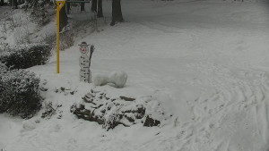 Chata Myslivna SKP Olomouc - Běžecký lyžařský areál Nová Ves - horní část - 16.2.2026 v 11:00 Chata Myslivna SKP Olomouc - Běžecký lyžařský areál Nová Ves - horní část - 16.2.2026 v 11:00