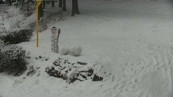 Běžecký lyžařský areál Nová Ves - horní část