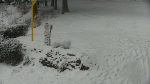 Chata Myslivna SKP Olomouc - Běžecký lyžařský areál Nová Ves - horní část - 16.2.2026 v 11:30 Chata Myslivna SKP Olomouc - Běžecký lyžařský areál Nová Ves - horní část - 16.2.2026 v 11:30