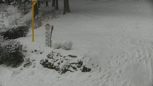 Chata Myslivna SKP Olomouc - Běžecký lyžařský areál Nová Ves - horní část - 16.2.2026 v 12:00 Chata Myslivna SKP Olomouc - Běžecký lyžařský areál Nová Ves - horní část - 16.2.2026 v 12:00